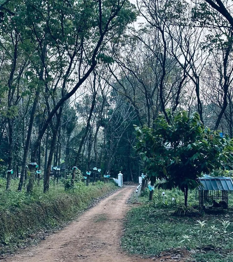 Βίλα Maryland Homestay Thattakād